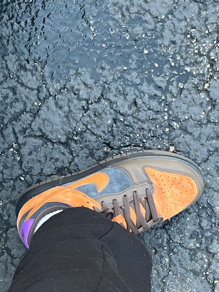 Nike Dunk Low PRM Cider - Image 2